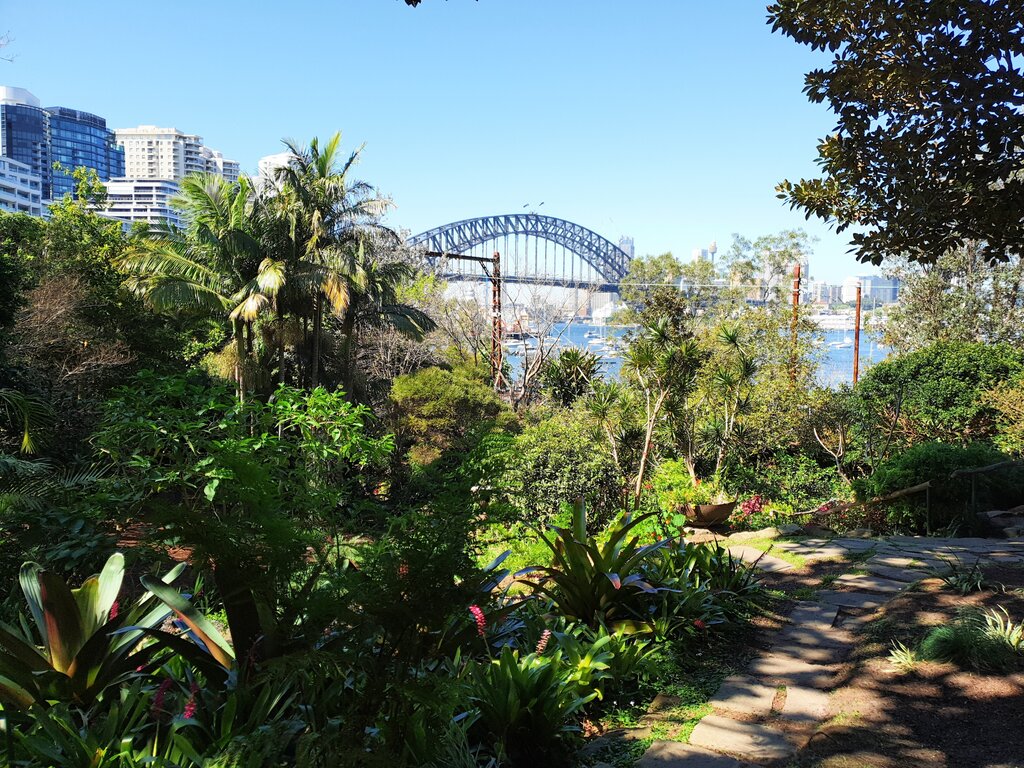Blick von Wendy auf die Harbour Bridge