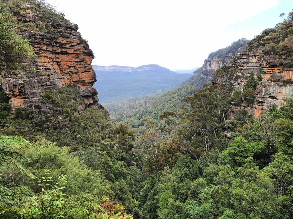 Ein typischer Ausblick in den Blue Mountains