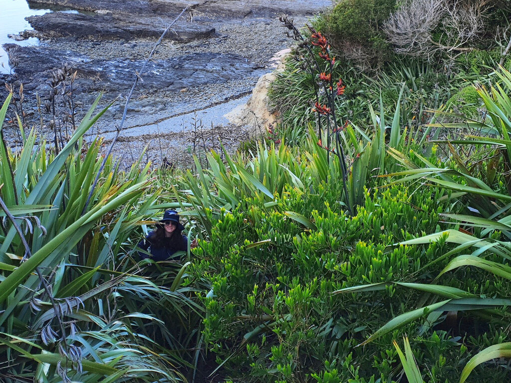 Ein kleines Abenteuer bei Henderson Bay