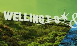 Featured image of post From Mount Taranaki to the Interislander