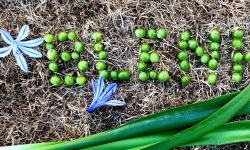 Featured image of post Lots of Leeway