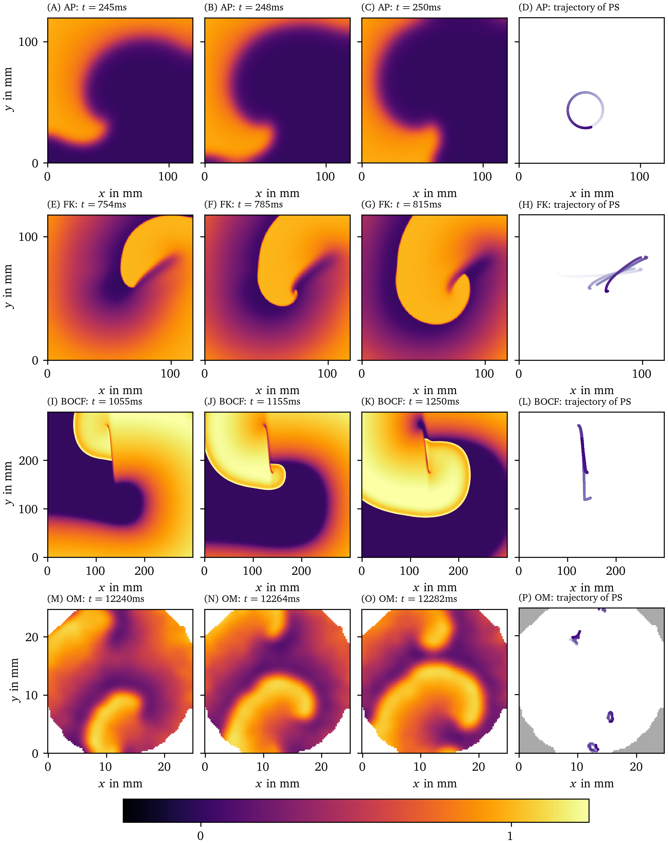 Qualitatively different tip trajectories of spiral waves in modelled cardiac tissue