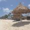 Dreamy beaches of Aruba