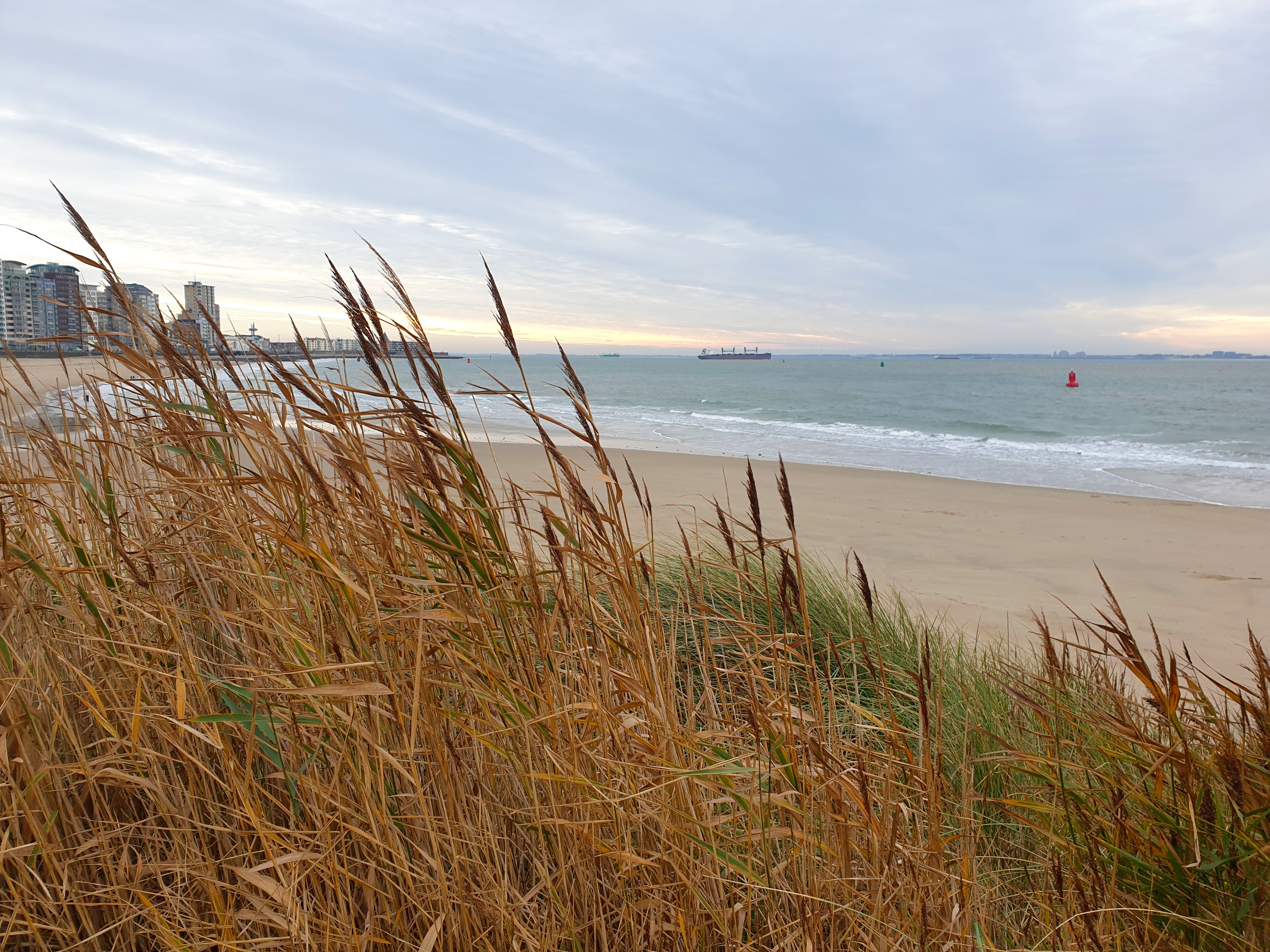 Strand van Vlissingen, Zeeland, Nederland