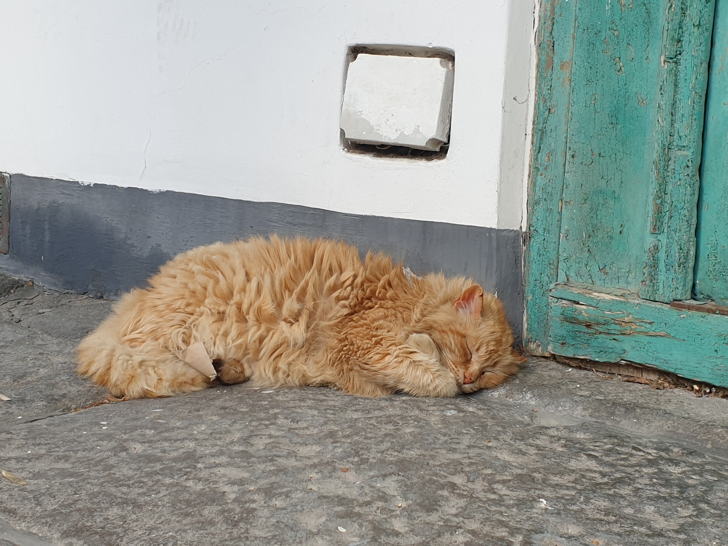 Santa Marina Salina, Italia