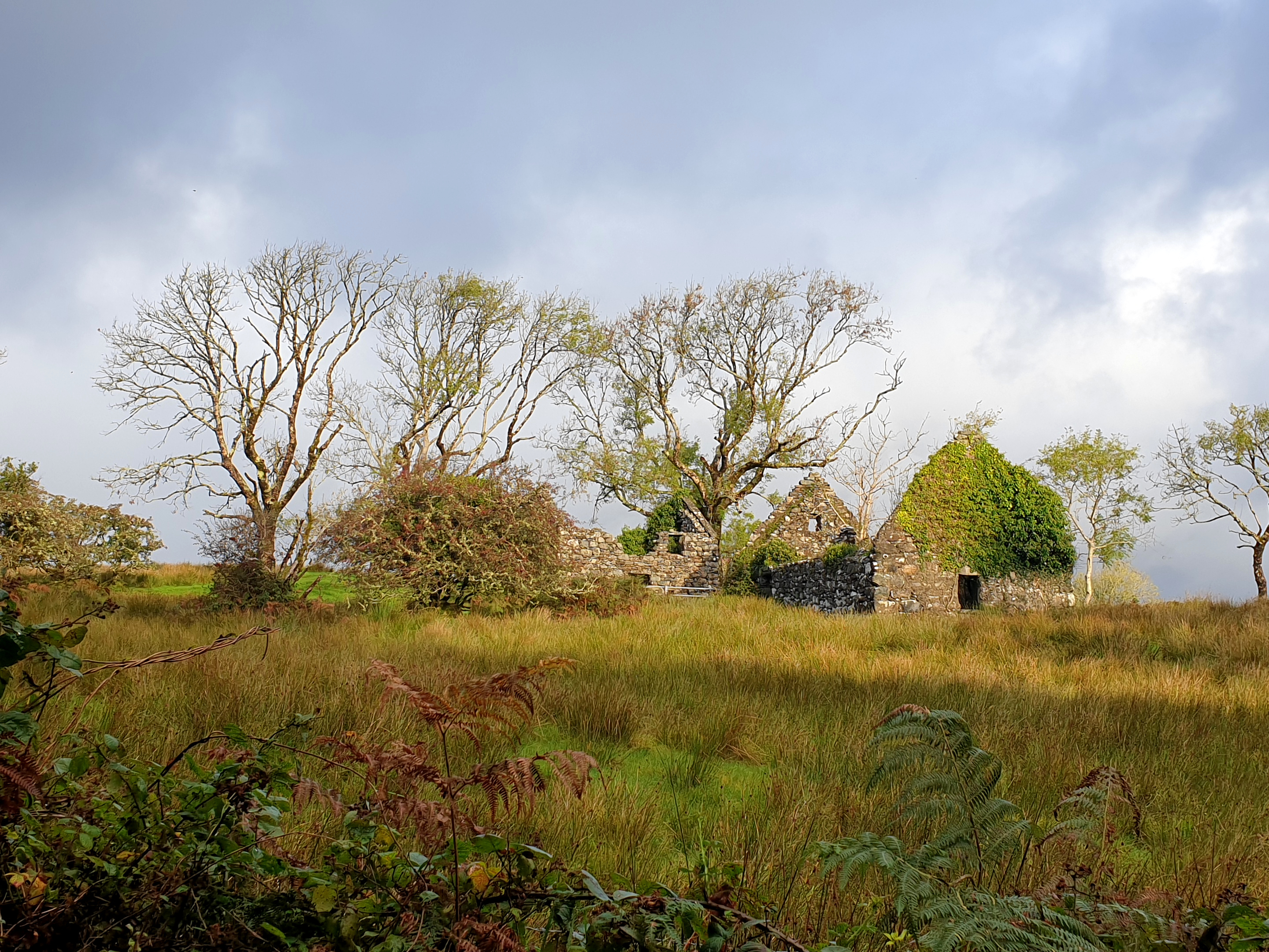 Curraghduff Farm, County Galway, Connacht, Éire