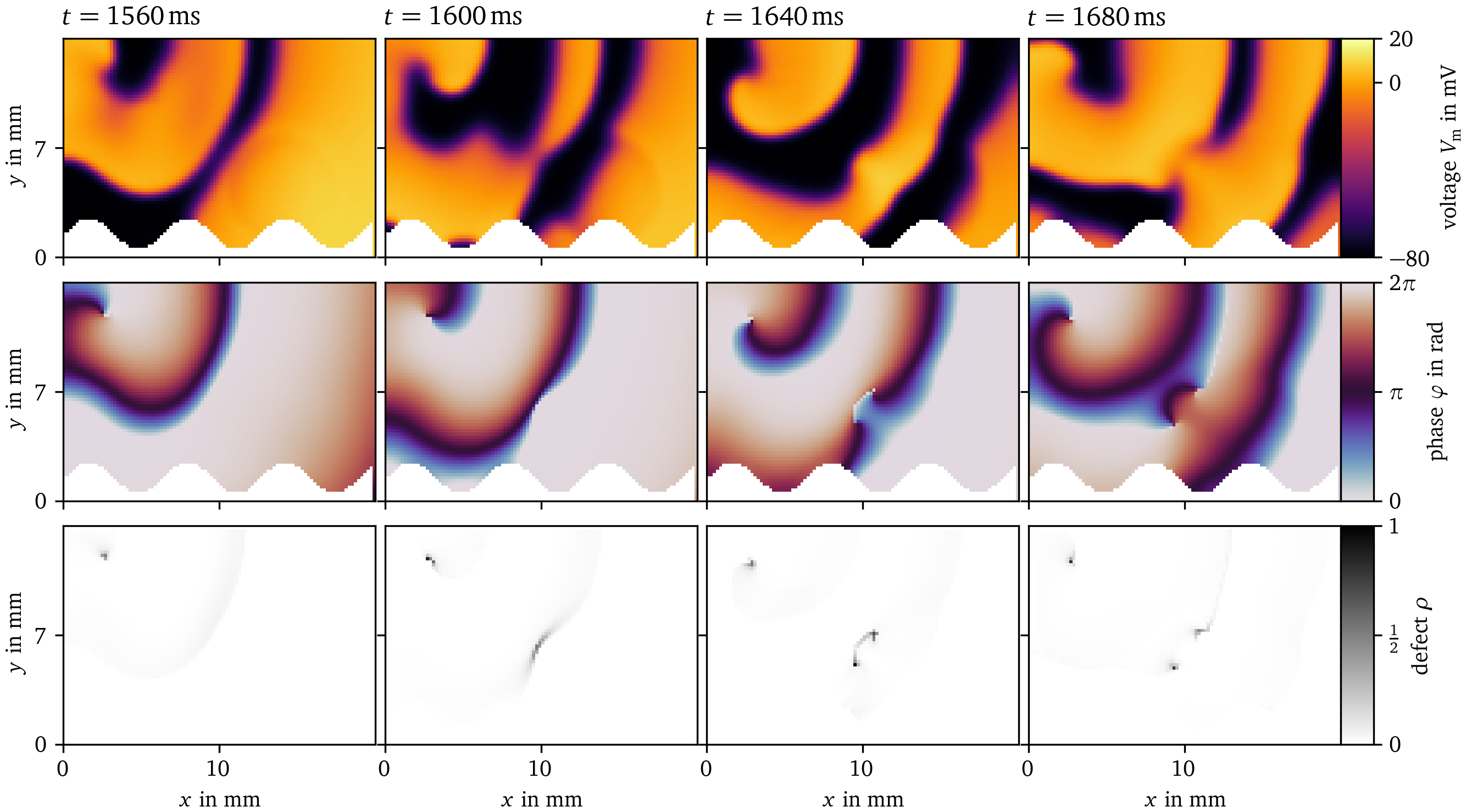 Phase defect detection during figure-of-eight spiral wave pair creation in Sim. 1
