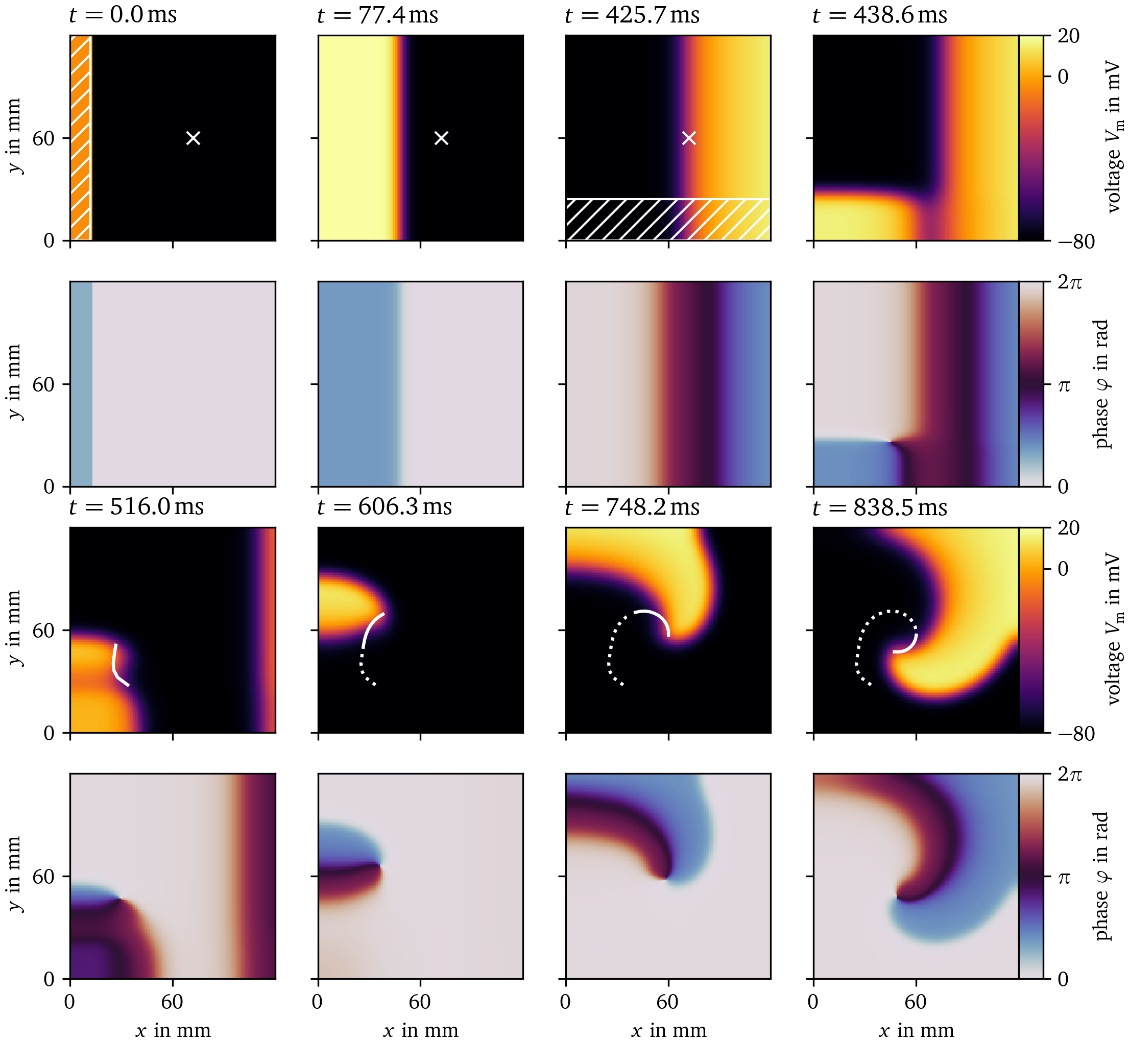 The S1S2 protocol illustrated for Sim. 2
