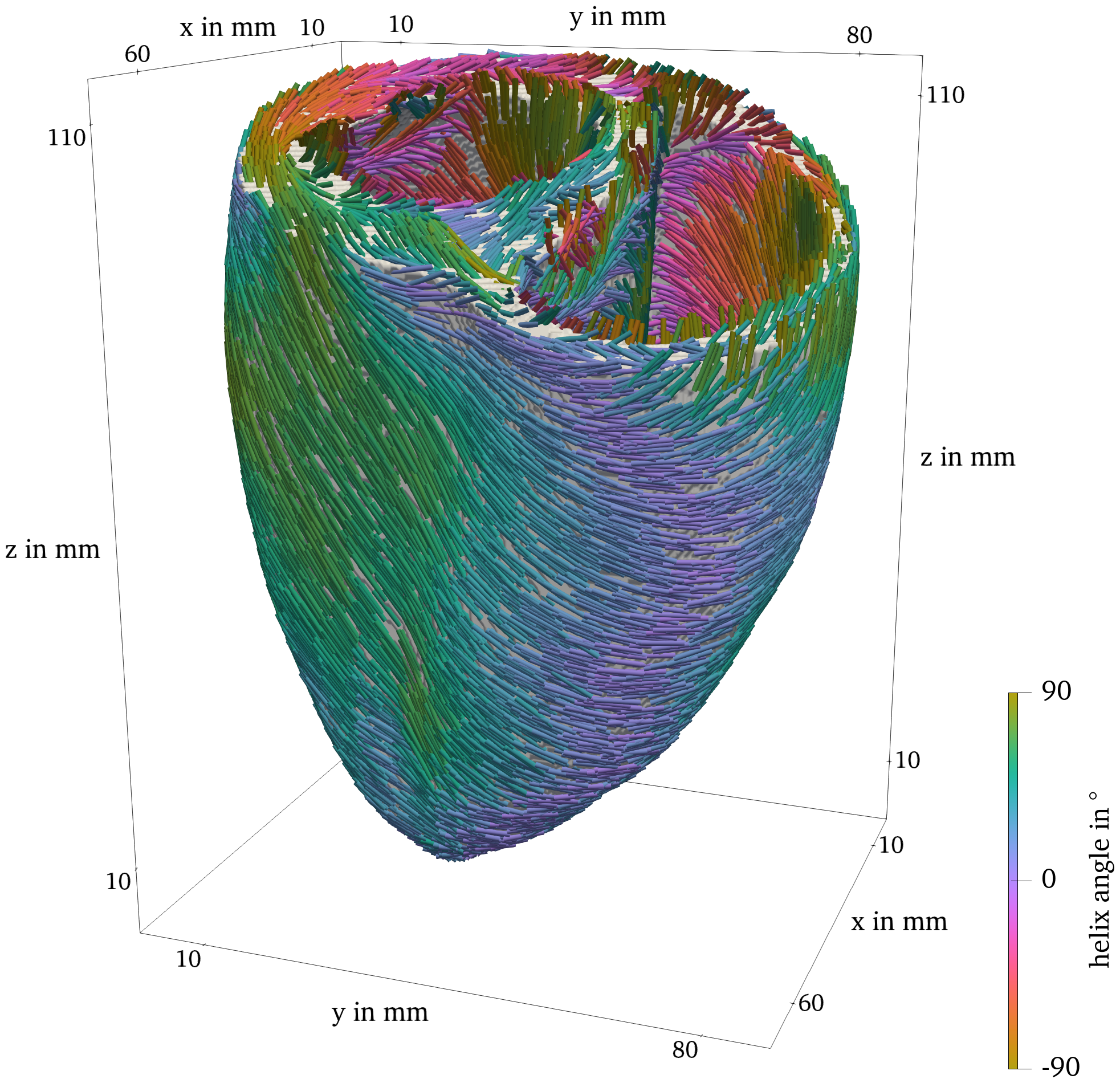 Ventricle geometry with fiber direction