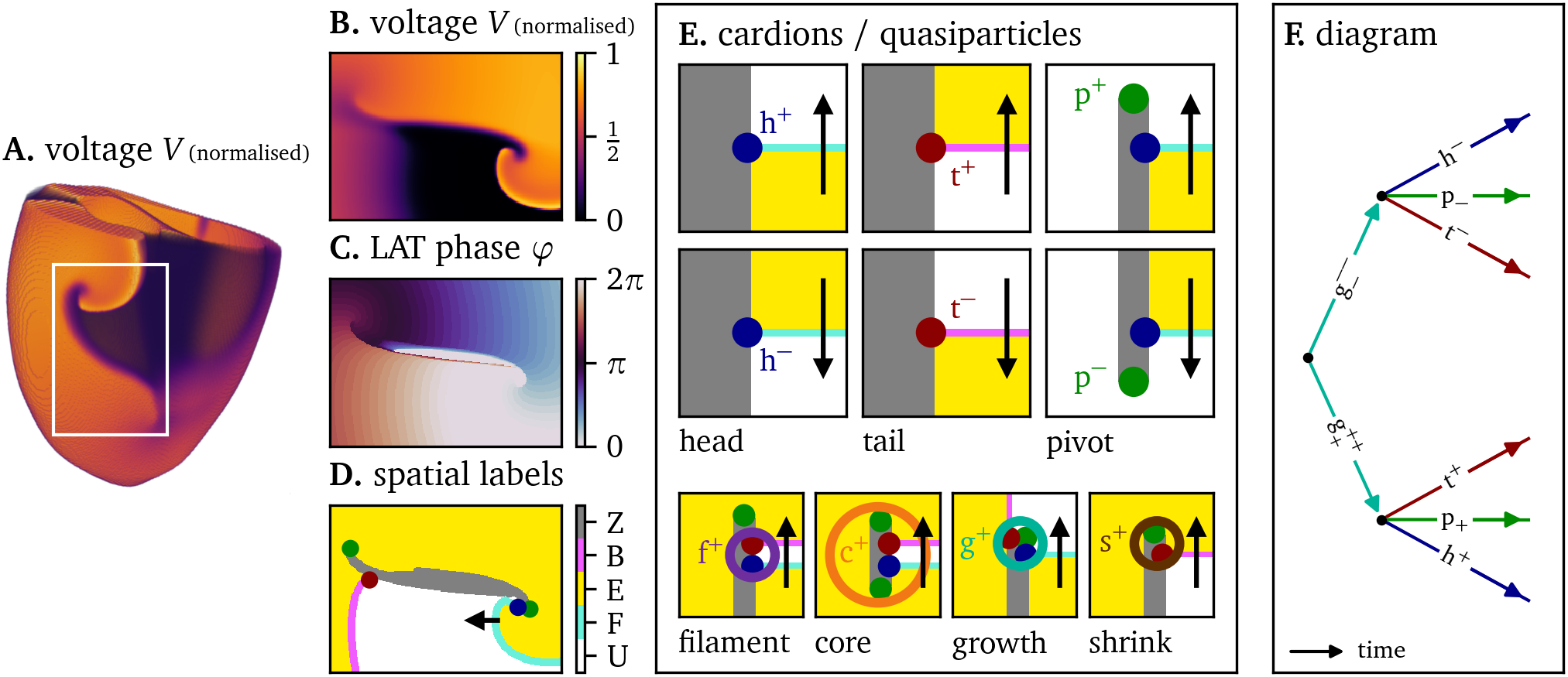 Conceptual framework for the analysis of excitation patterns using quasiparticles and Feynman-like diagrams