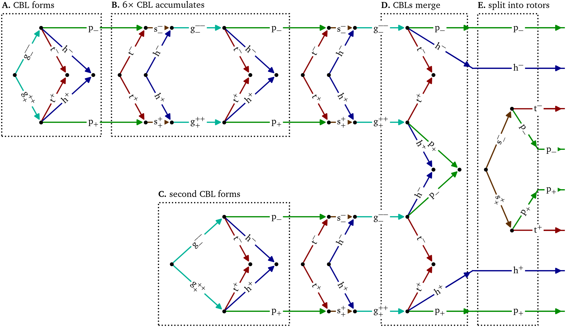 Feynman-like diagram of the creation of two spiral waves via two merging conduction block lines (CBLs) in an optical voltage mapping experiment