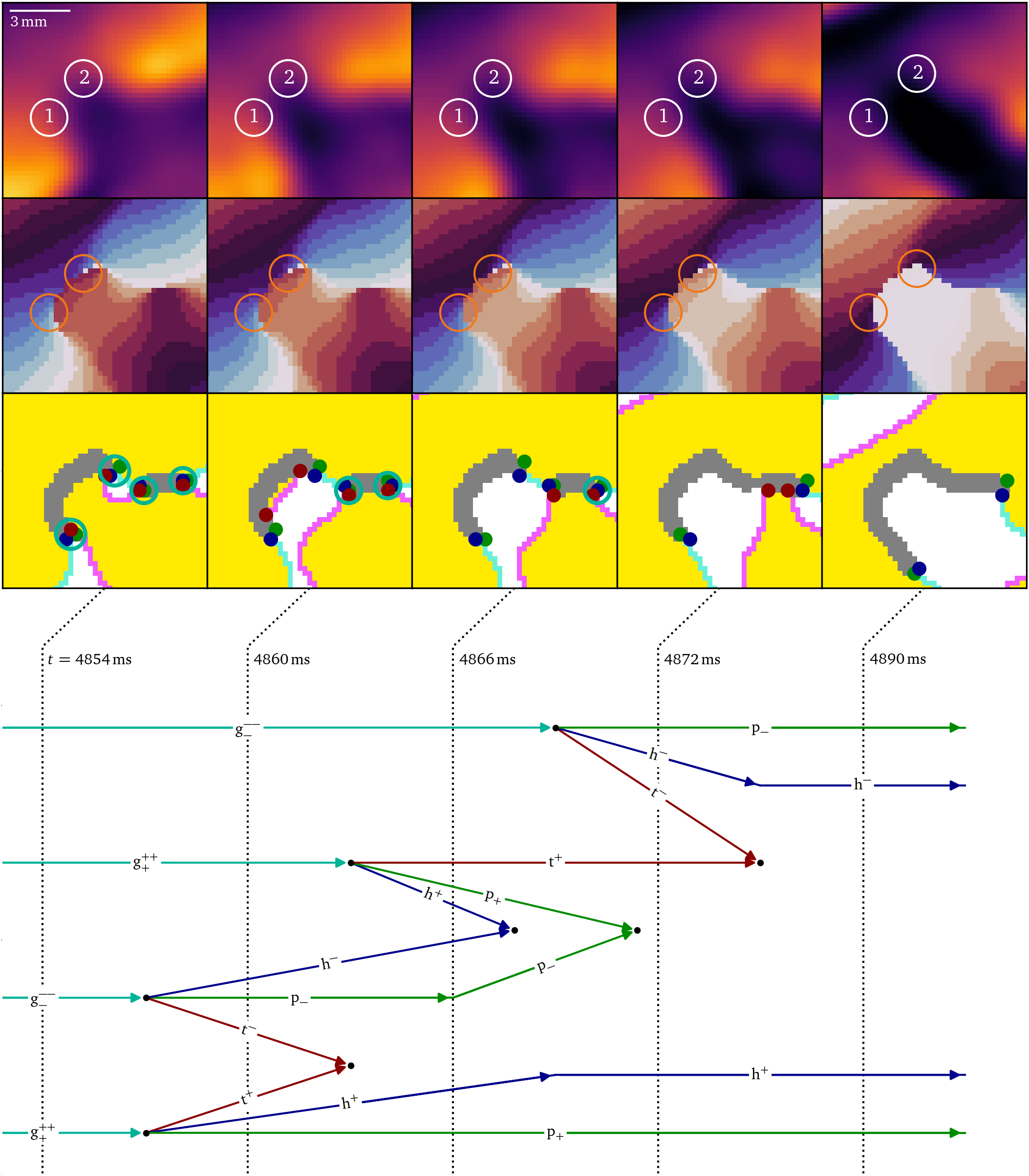 The merger of two conduction blocks
