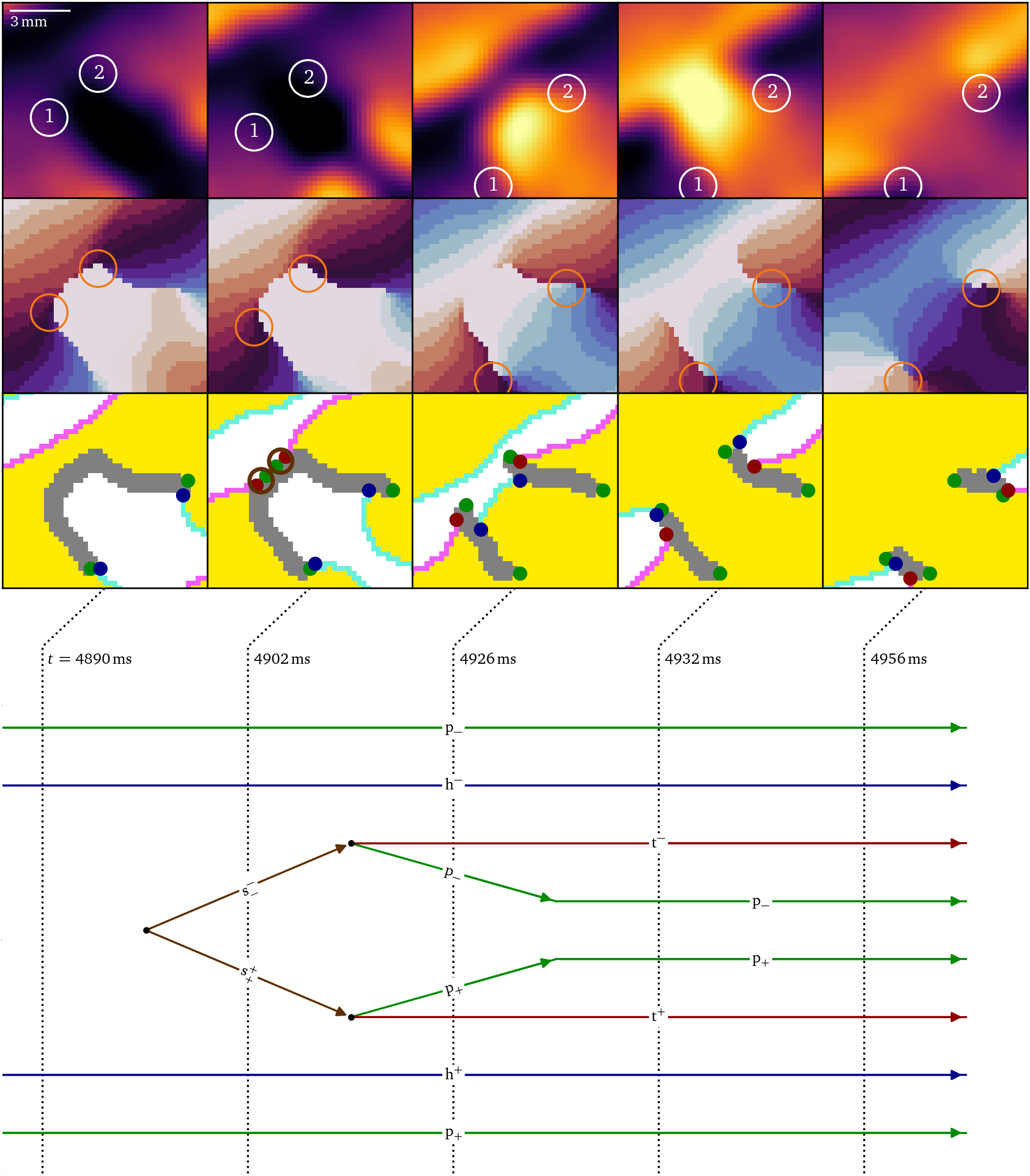 Splitting of a large conduction block