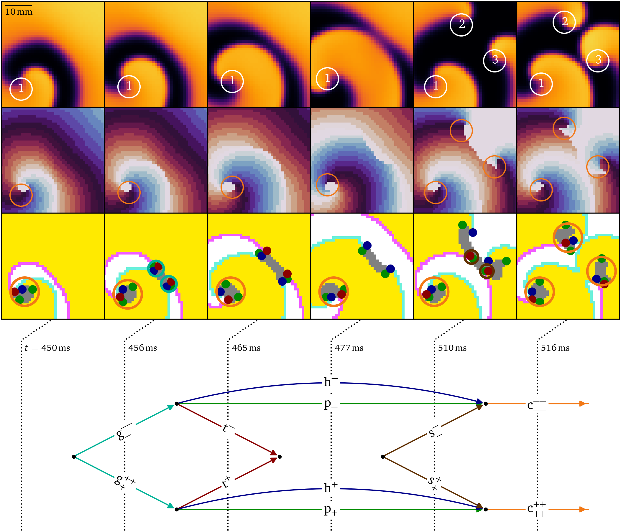 Diagrammatic analysis of the creation of two spiral waves in a simulation of break-up (Karma, 1993, 1994)