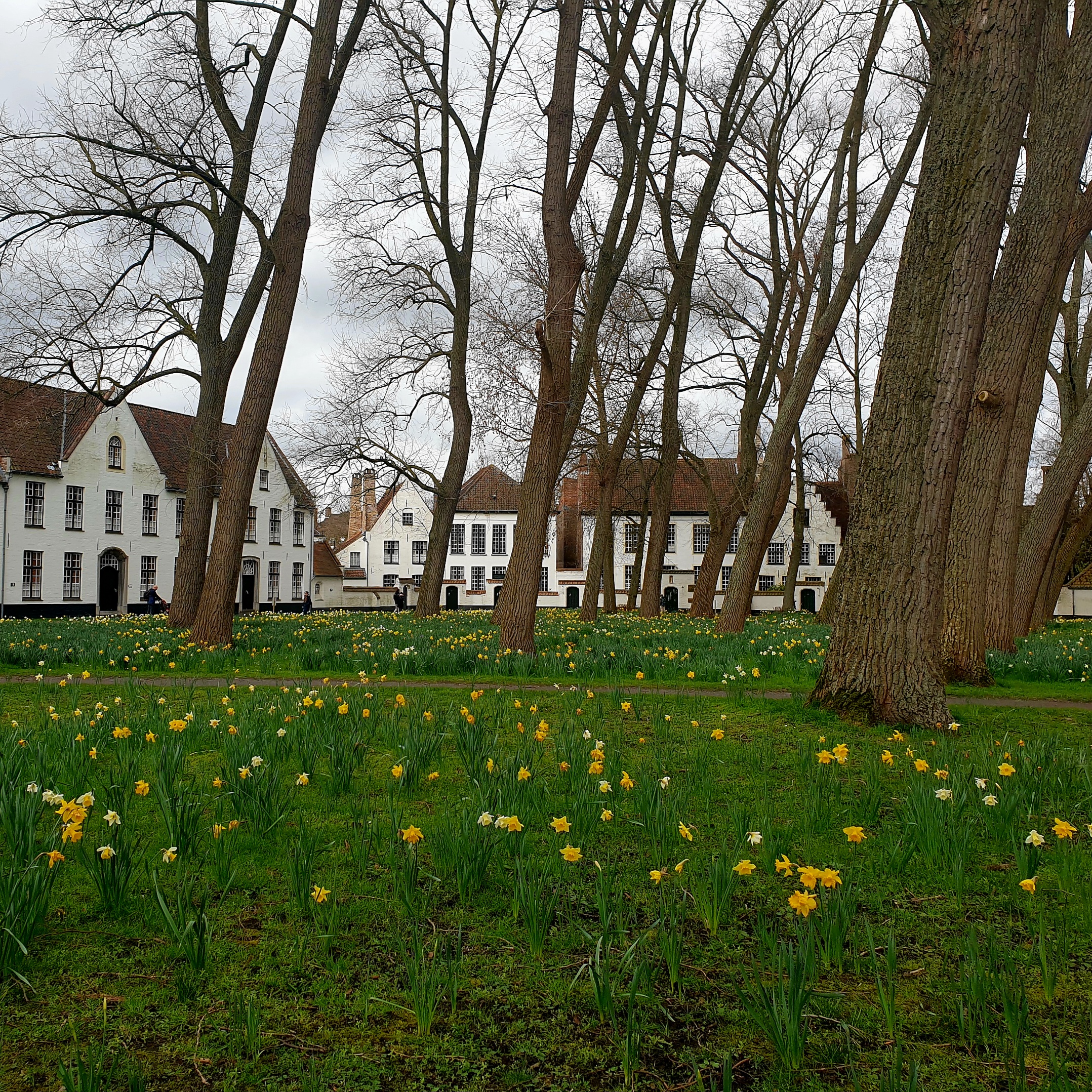 Brugge, Vlaanderen, België