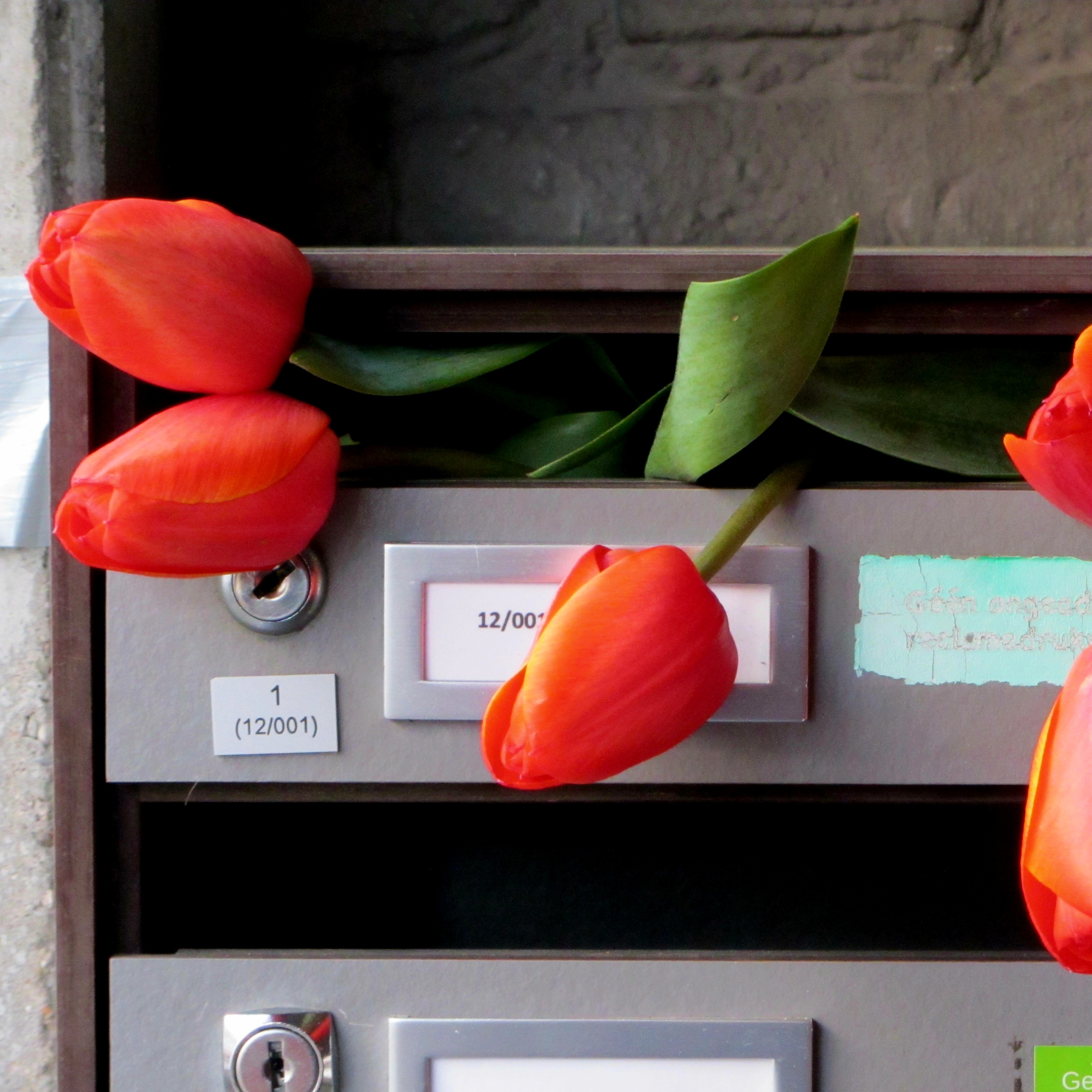 Gent, Vlaanderen, België