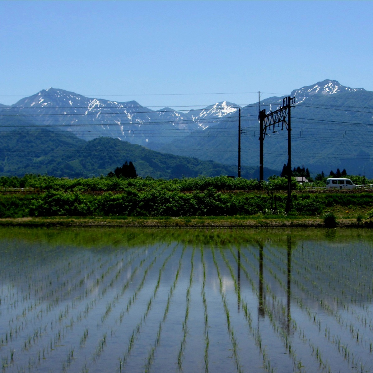 八色, 南魚沼市, 日本国 (Yairo, Minamiuonuma, Japan)