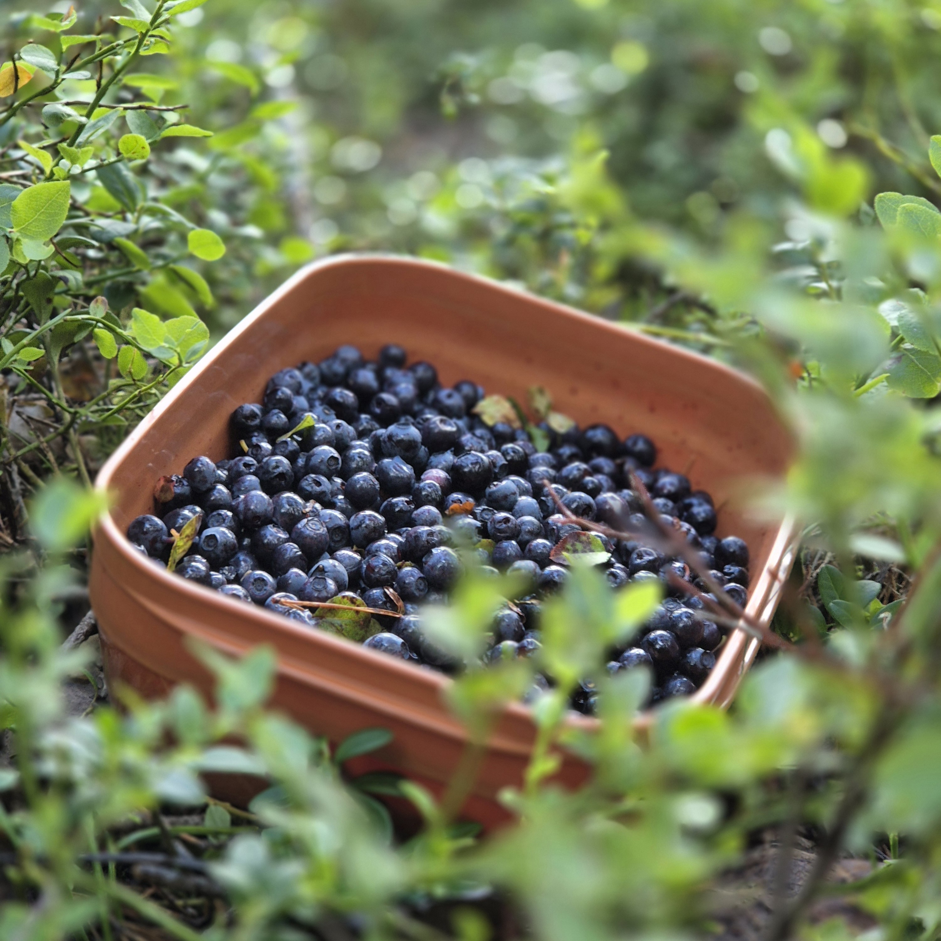 Helsinki, Uusimaa, Suomi