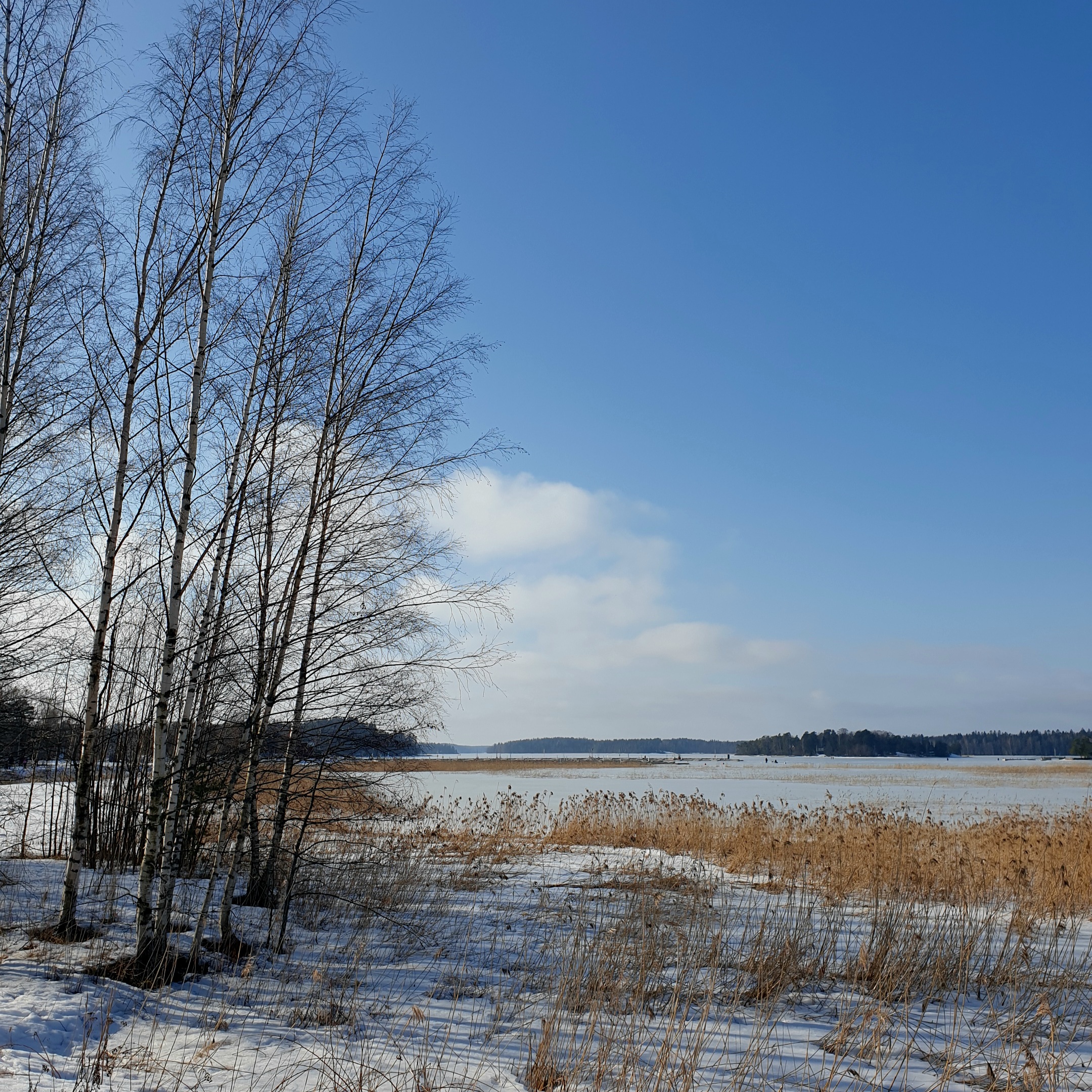 Espoo, Uusimaa, Suomi