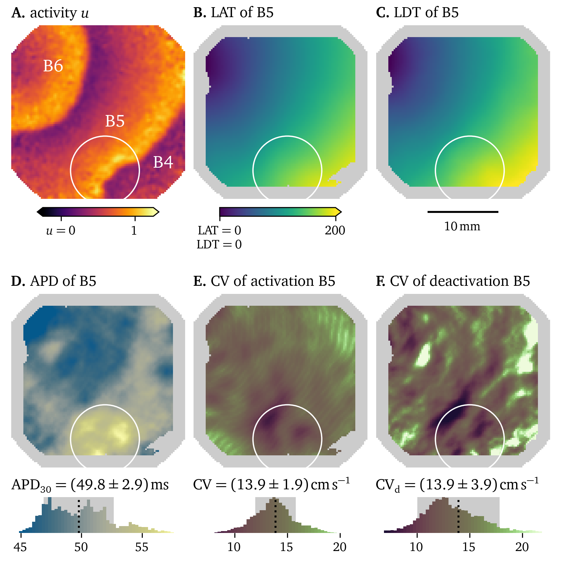 Estimation of CV for noisy optical mapping data