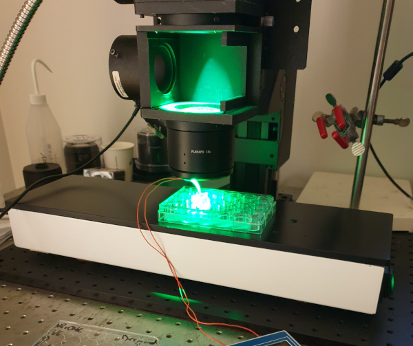 Optical mapping setup